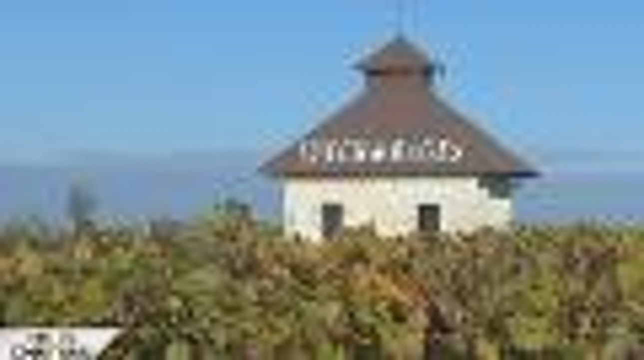 Vie de château. Visite du Château Lynch-Bages