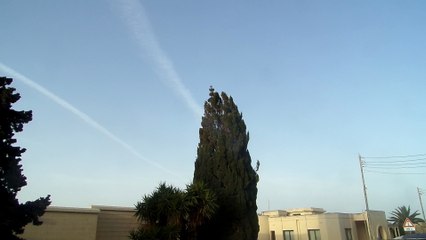 Patterns over Main Street Melliha