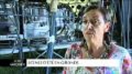 La vie Gironde. Scènes d'été en Gironde