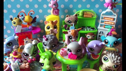 Miniş Koleksiyonum | LPS Collection || Minişler Cupcake TV