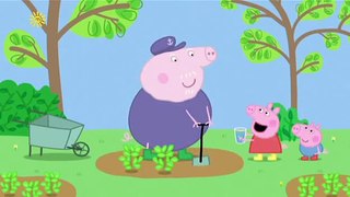 Peppa Pig S4E29 Perfume