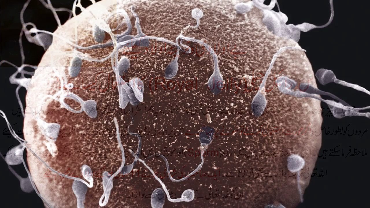(بے اولادی کے لئے رائل جیلی کا استعمال)Be Uladi Kay Lia Royal Jelly Ka Istamal Kasa Hai- (2)