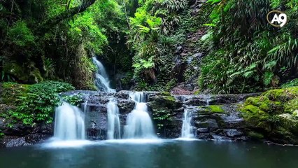 Kuran'a dayalı bir bilim anlayışı