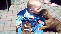 Puppies and Babies Playing Together Very Cute Compilation 2015
