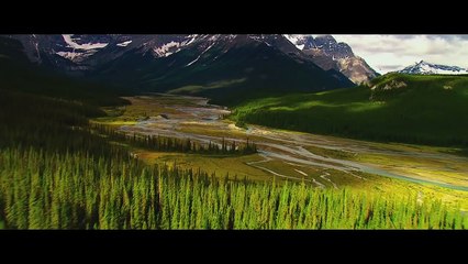 The Purge- Election Year (2016) Official Trailer #2