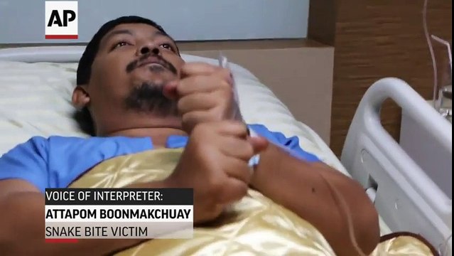 Serpiente dejó sin “miembro” a un hombre mientras usaba el inodoro