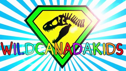 Finger Family Song   Animal Finger Family Song   Eagle Family Finger Family Nursery Rhyme Song