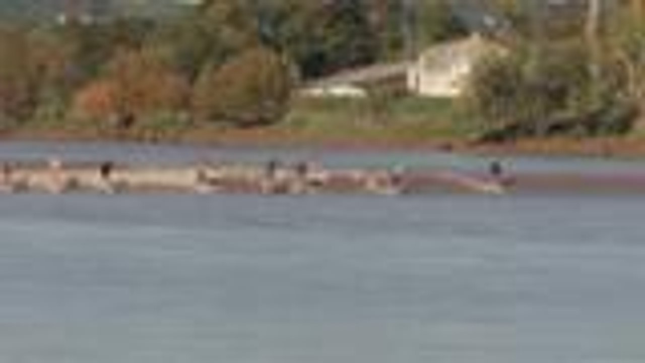 Le Team Billabong sur le mascaret de Saint-Pardon (33)