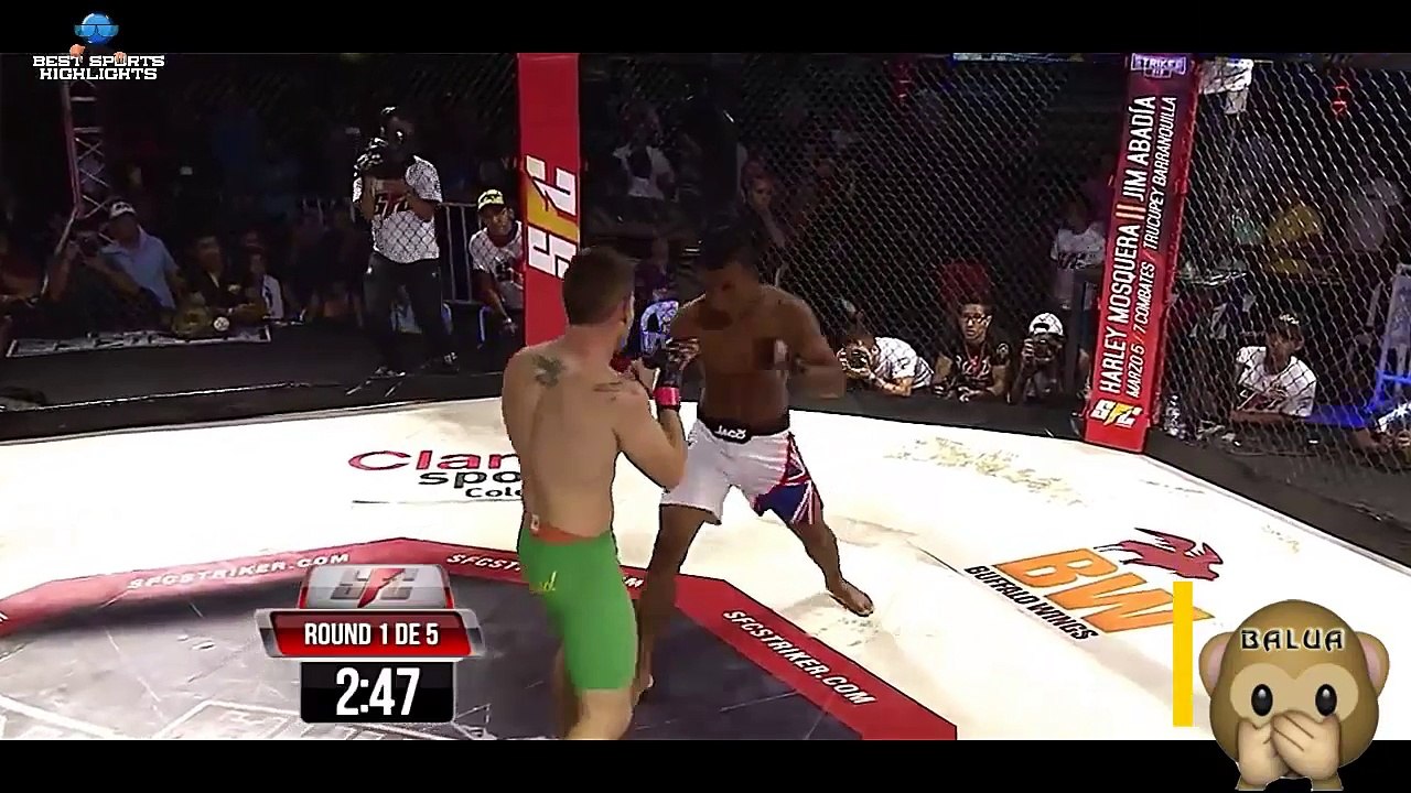 TOP MMA Knockouts 2015