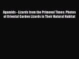 Download Agamids - Lizards from the Primeval Times: Photos of Oriental Garden Lizards in Their