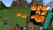 Villagers burned by 3 different minecraft FIRE TRAPS