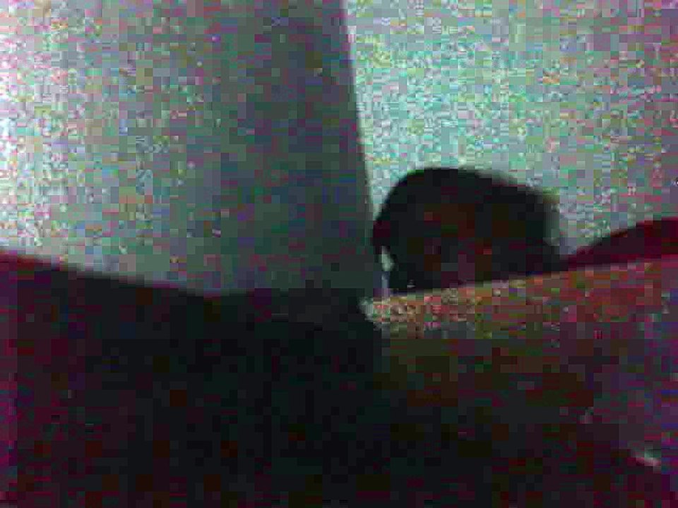 Video 295