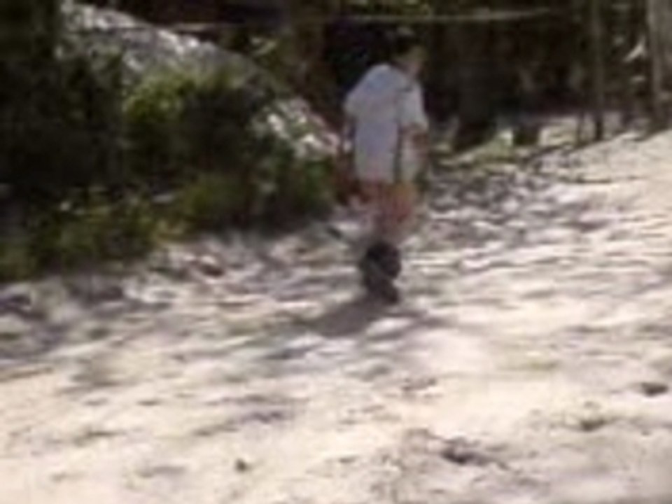 Vive la france