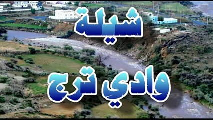 شيلة وادي ترج ( كلمات : ياسر الشهري اداء : سعد حامد )