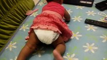 Dançando com a galinha pintadinha