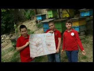 Tangram - Shqipëria më e mirë nëse zhvillohet bletaria - Ajdin Daçi - Kodi: 69