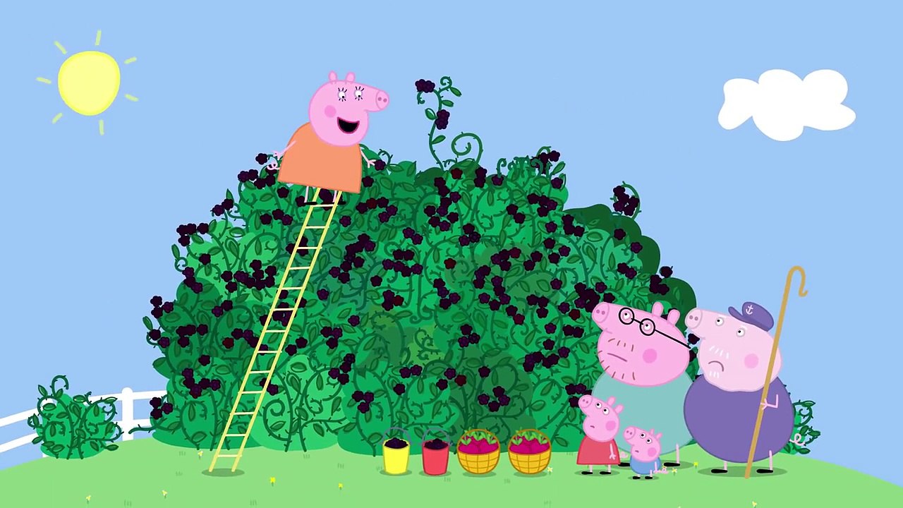 Peppa Pig   The Blackberry Bush clip