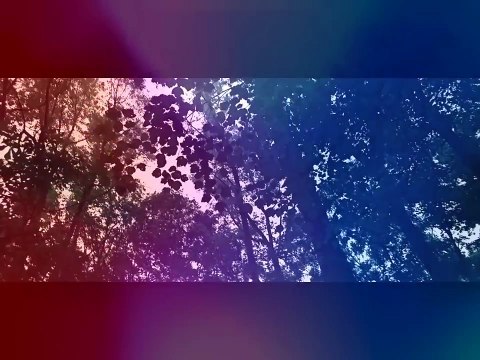 Travis Scott - Maria I'm Drunk feat. Justin Bieber & Young Thug (Music Video)