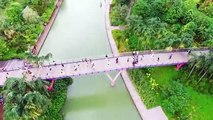 Drone  Flying in Gardens by The Bay   Singapore   DJI Phantom 3 Professional