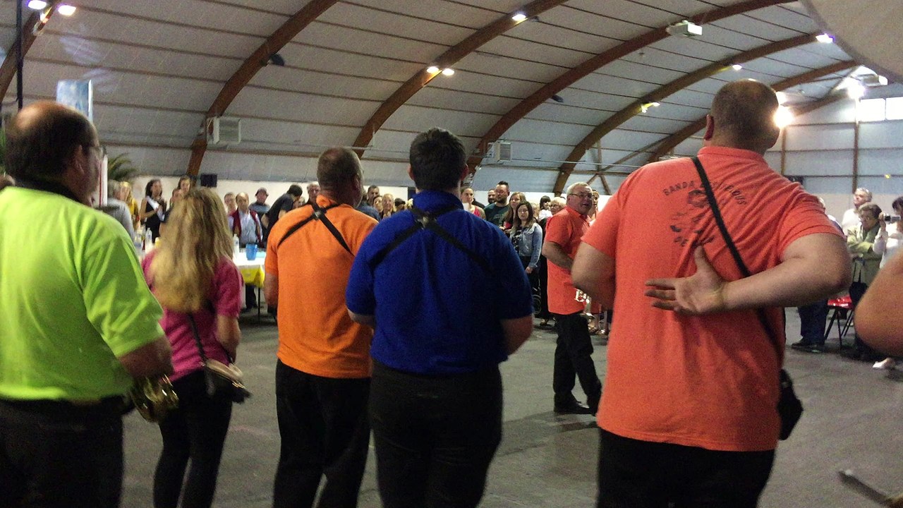 17 la Rochelle cavalcade 2016 de Dany super à voir ex