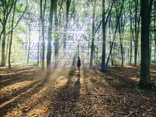 Any Type Problem Solution BABA JI +91-8290999324