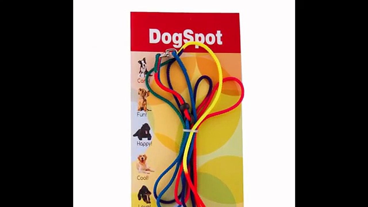 Dog Boarding Del mar