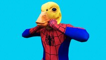 Spiderman Vs Venom Vs Scream Vs Duck Spiderman In Real Life! Superhero Battle! (1080p)