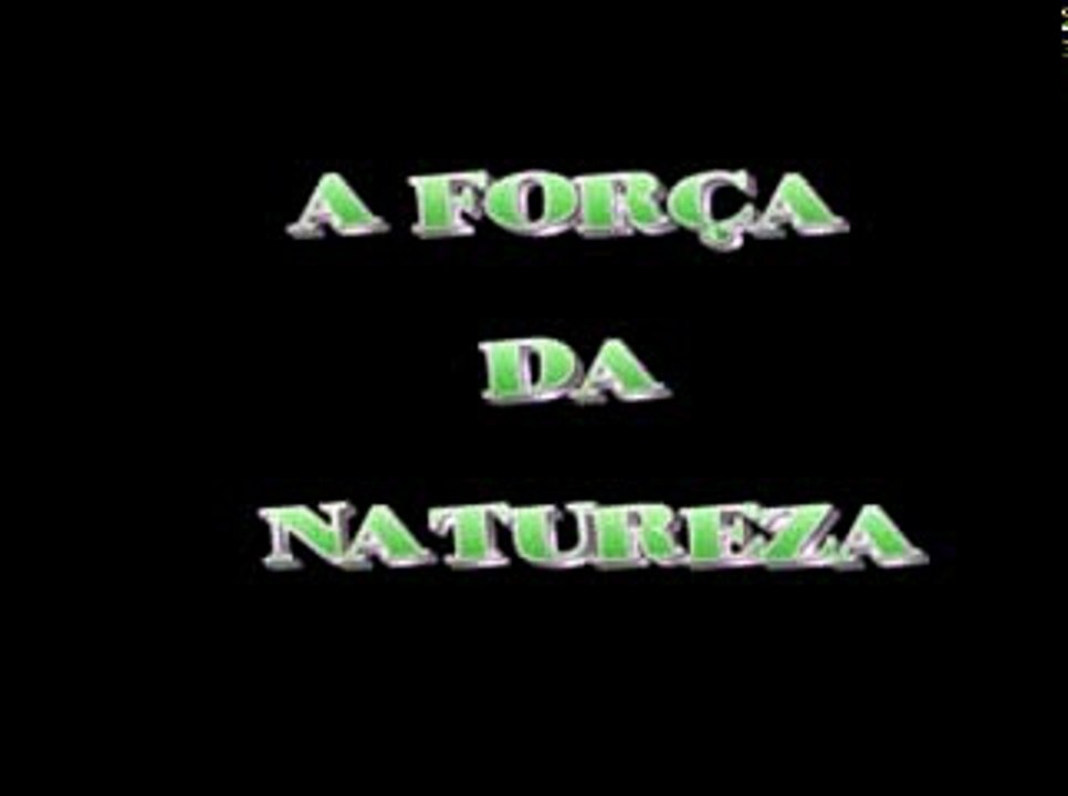 DESAFIANDO O PERIGO