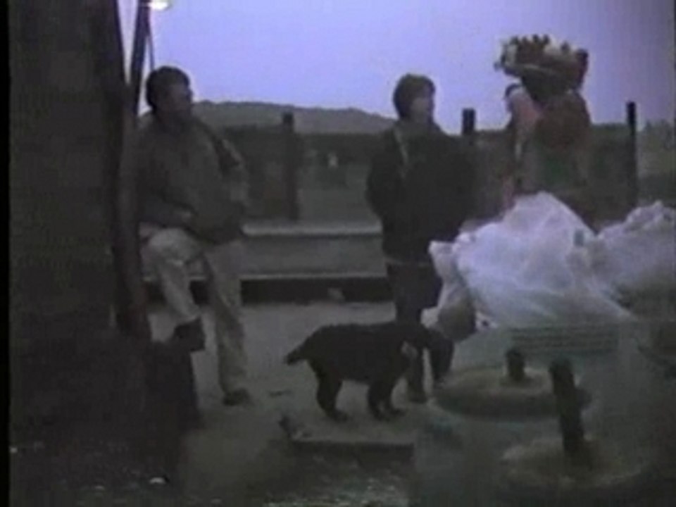 Dawn on Mayday, East Quay, 2000