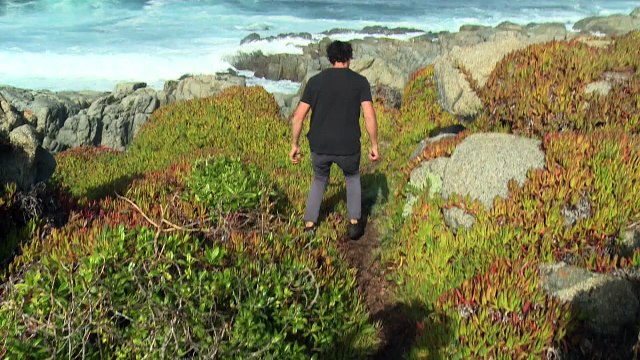 Chile: algas y plantas marinas en el menú del mejor restaurante