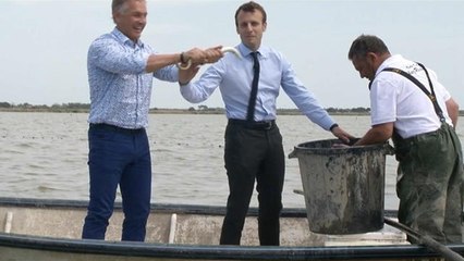 Emmanuel Macron lance une grande opération de porte-à-porte - Le 28/05/2016 à 10h25