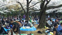 Tokyo Trip Part 24 - Yoyogi Park