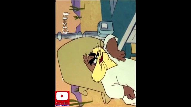 Patak Daca i Brzi Gonzales - Rucak kod Dace