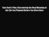 Read Your Soul's Plan: Discovering the Real Meaning of the Life You Planned Before You Were