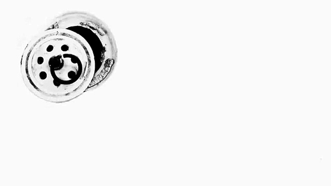 Flush Water Drain Sound Effect