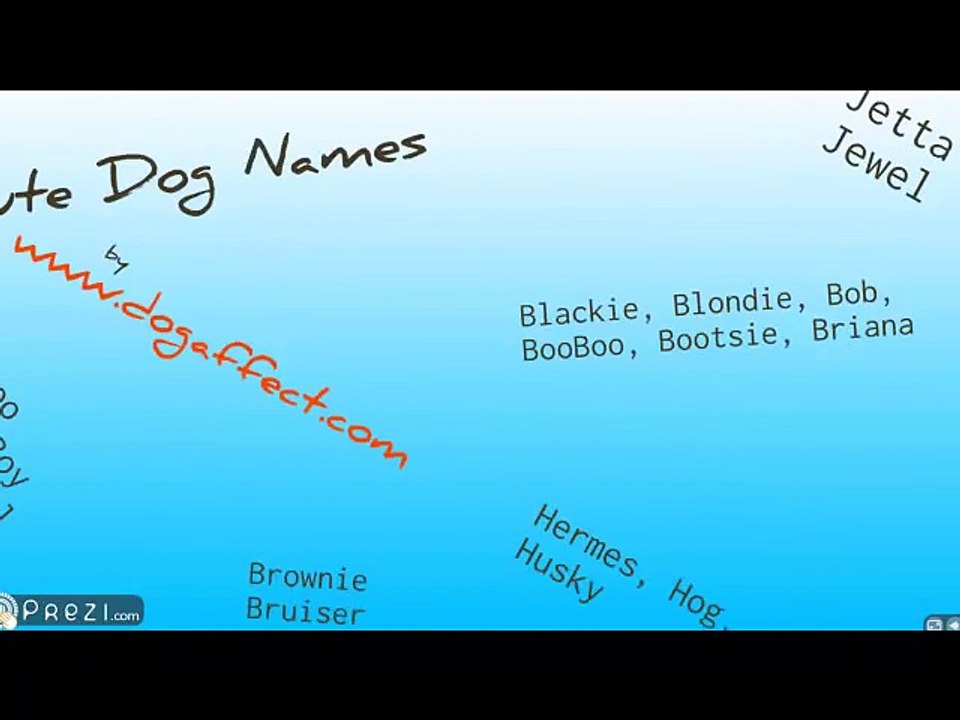 Cute Dog Names