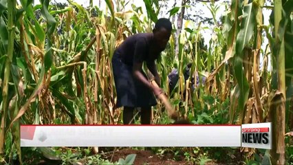 Korea's Saemaul Undong taking foothold in rural Uganda