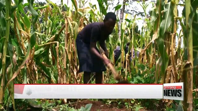 Korea's Saemaul Undong taking foothold in rural Uganda