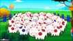 Old MacDonald Had A Farm | Animal Sounds Song | Nursery Rhymes for Children by HooplaKidz TV