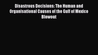 READbookDisastrous Decisions: The Human and Organisational Causes of the Gulf of Mexico BlowoutREADONLINE
