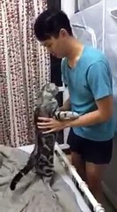 Sahibiyle adeta öpüşmeye can atan kedi