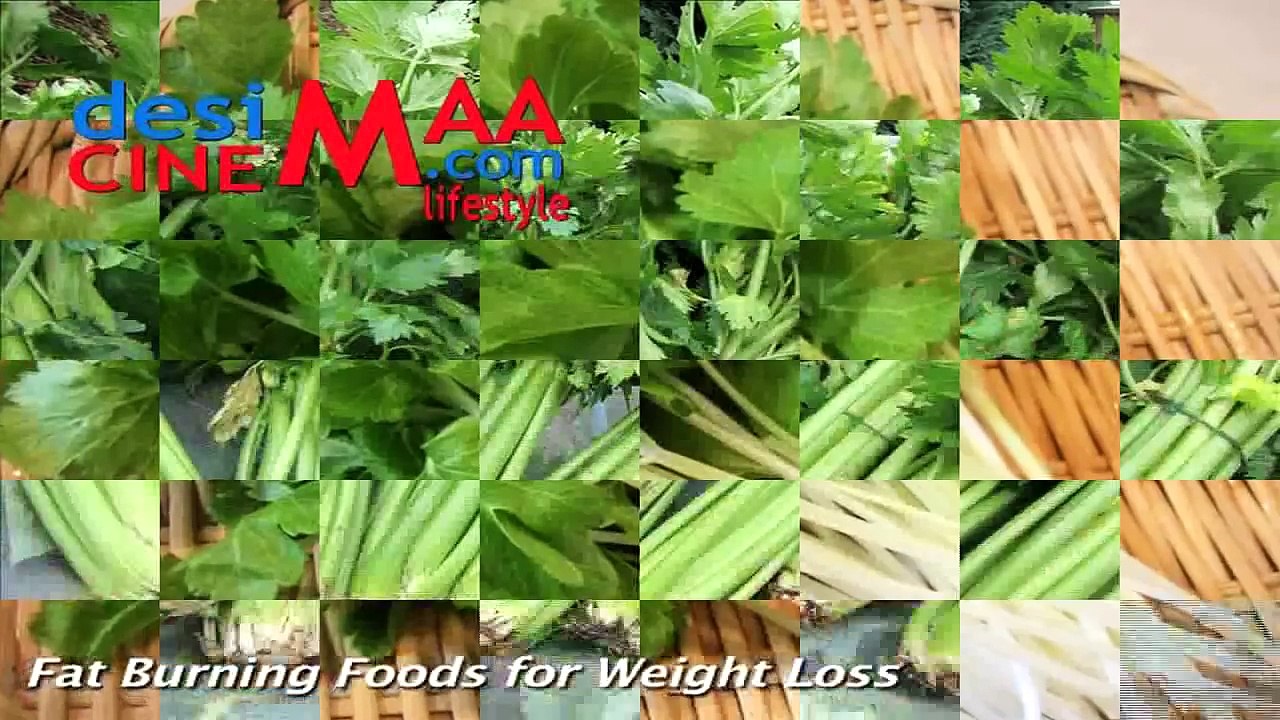 Fat Burning Foods for Weight Loss