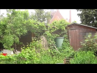 Blade Inductrix 200 FPV agility mode