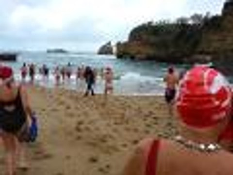Le bain des ours blancs de Biarritz.