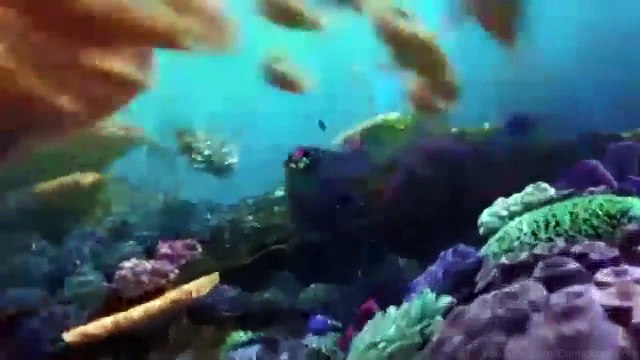 FINDING DORY TV Spot #10 - Play Dead (2016) Disney Pixar Animated Movie HD