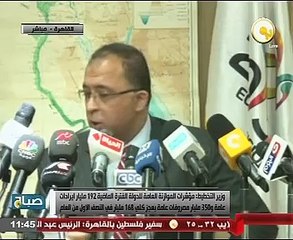 وزير التخطيط: حجم الواردات السلعية بلغ 28.6% خلال 2015 - 2016