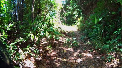 Scooter Trekking & Climbing Adventure @ Pirate's Viewpoint, Phuket