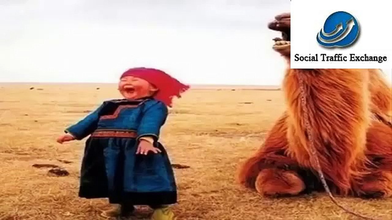 Most Funny Videos Crazy Funny Jokes Funny Vedio Download Com Funny Video Downloads