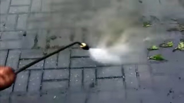 Лучший способ борьбы с сорняками