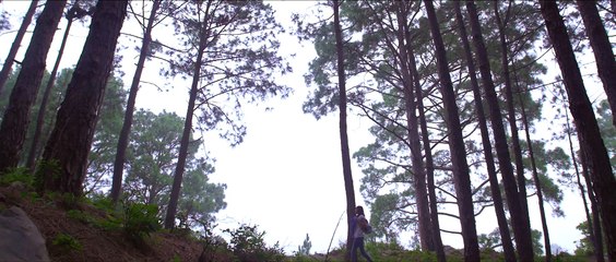 Best Songs - Nanhay Haathon Mein Qalam Ho To Siahi Na Rahay